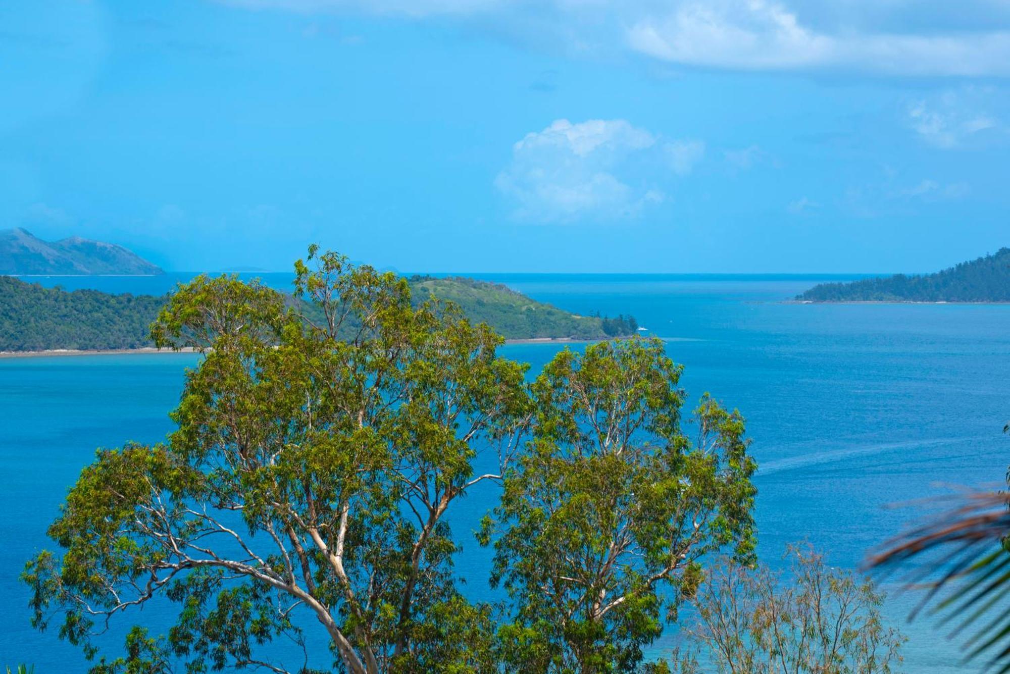 Pinnacle Apartments Hamilton Island Exterior foto